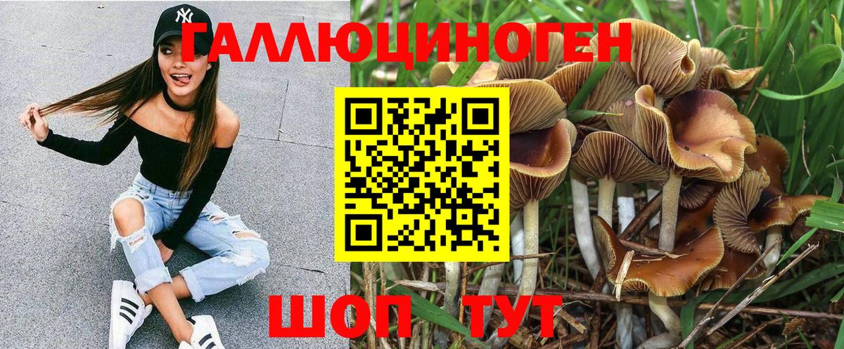 Галлюциногенные грибы Cubensis Клинцы