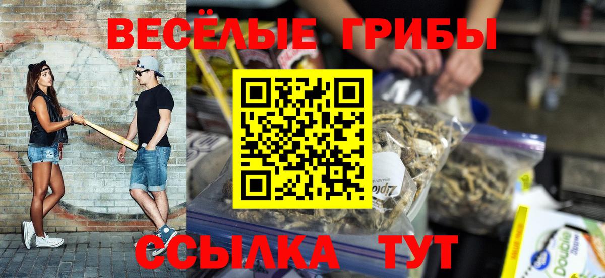 Клинцы  Галлюциногенные грибы мицелий  Вход с VPN 